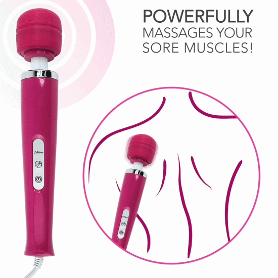 Allure Wand Electric Body Massager