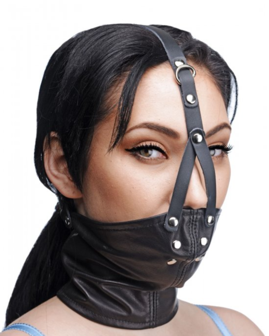 Neck Corset Harness With Stuffer Gag 2